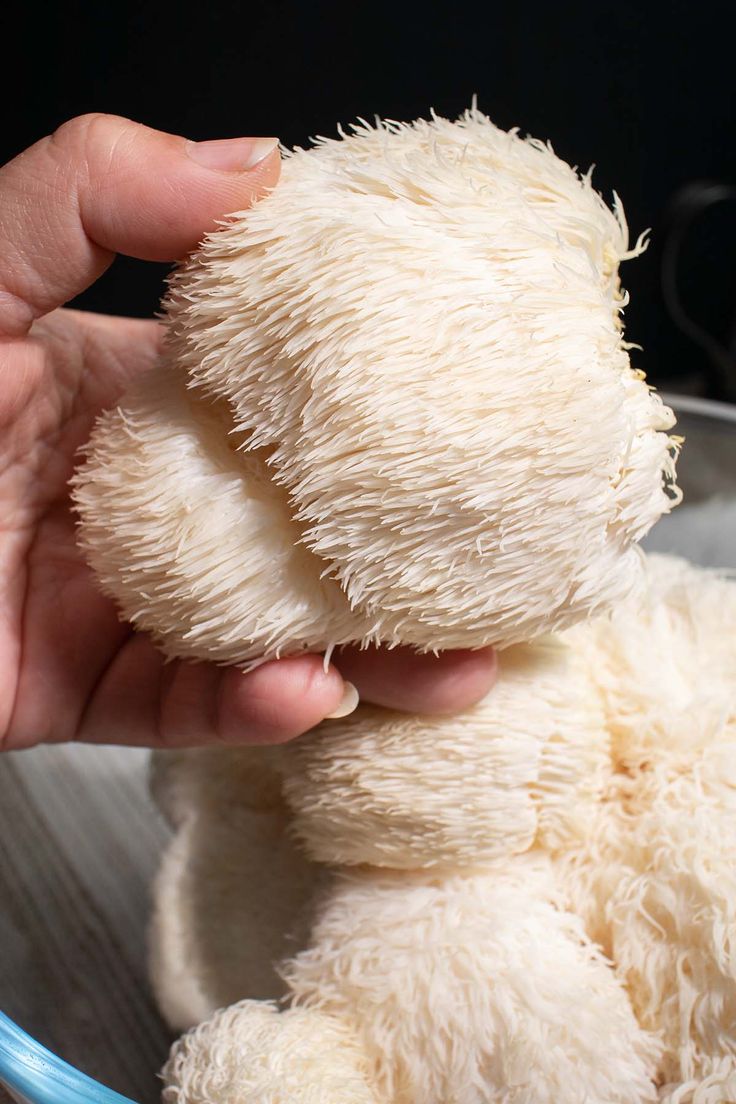 Lion's Mane for Weight Loss: How It Can Help