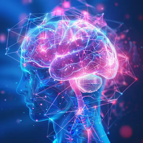 Nootropics, Neuroplasticity