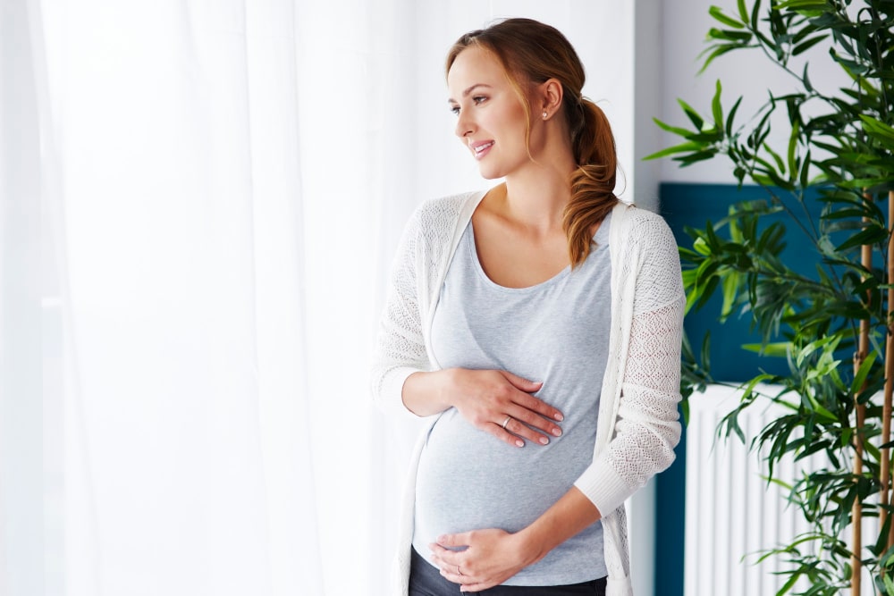 Pregnant woman by window, considering natural supplements like Reishi mushroom.