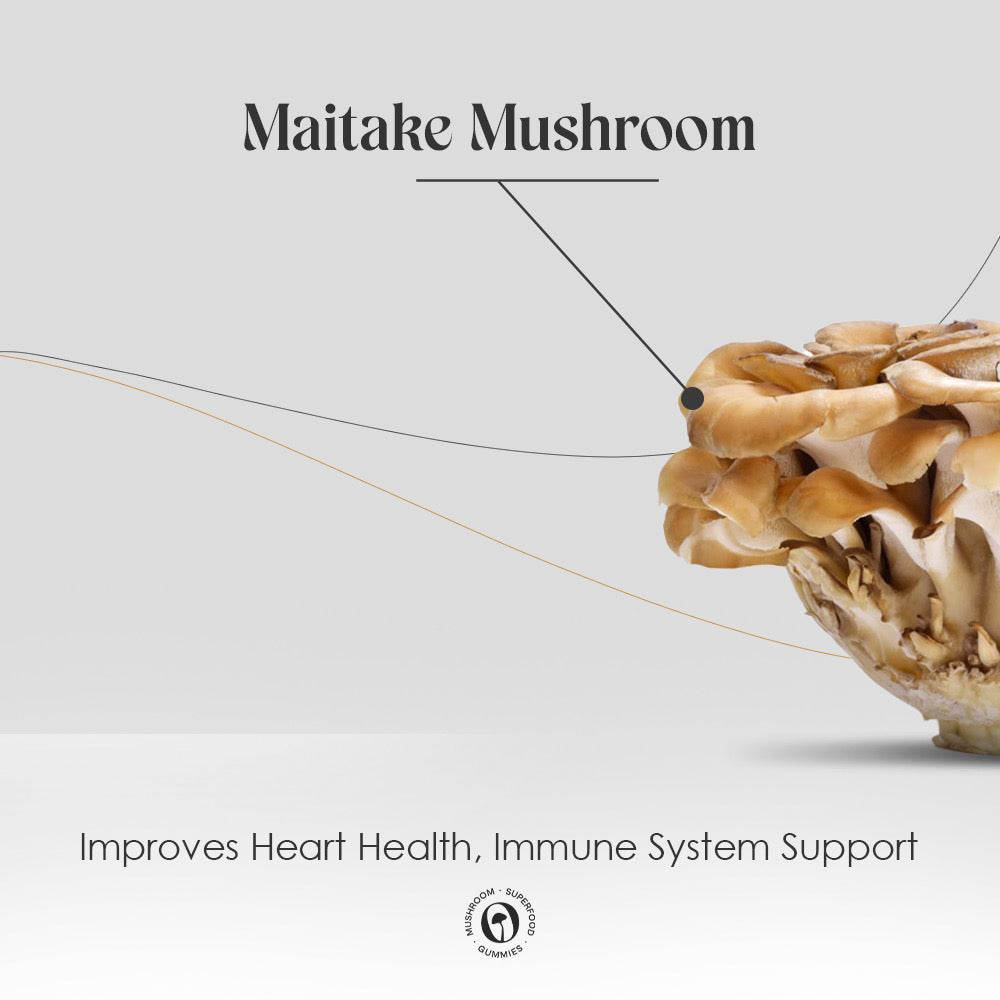 Mushroom Extract Gummies | Superfood - WellNao