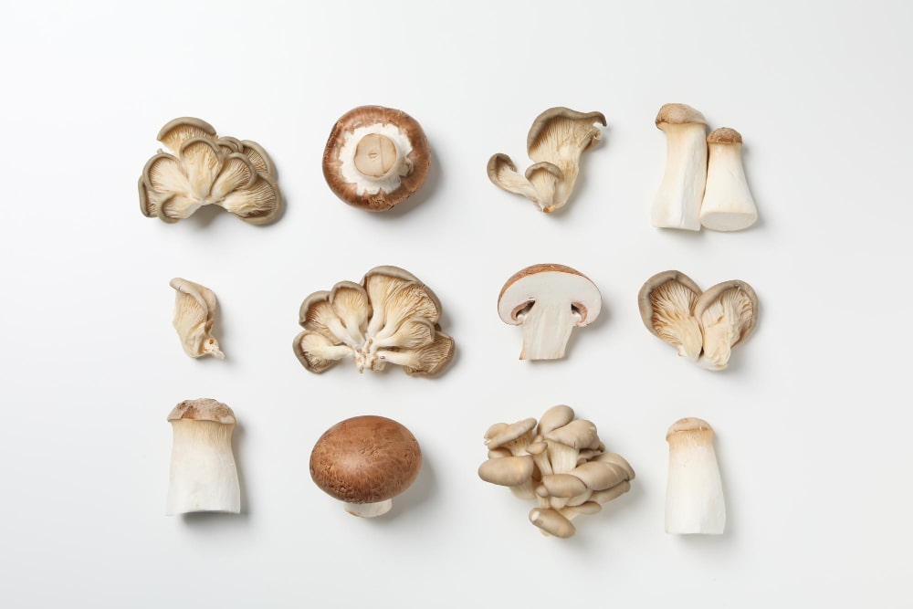 Assorted protein-rich mushrooms displayed on a white background, ready for cooking.