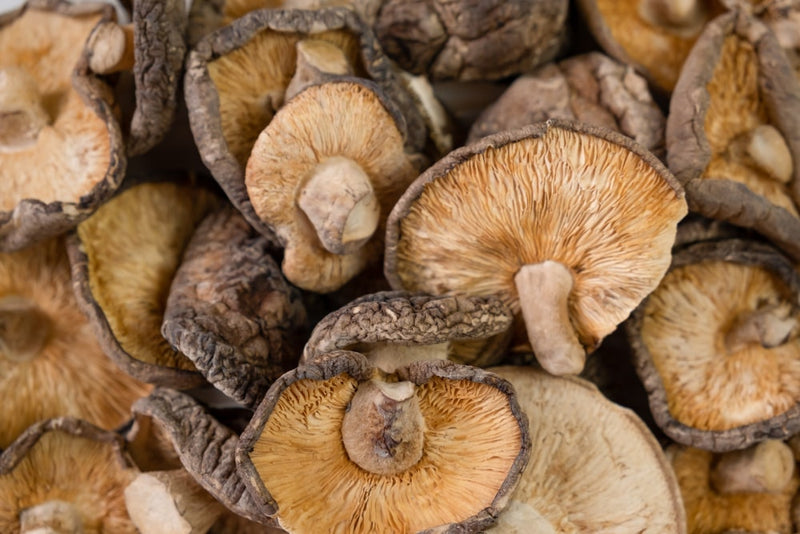 A scattering of dried Shiitake mushrooms on a rustic wooden table