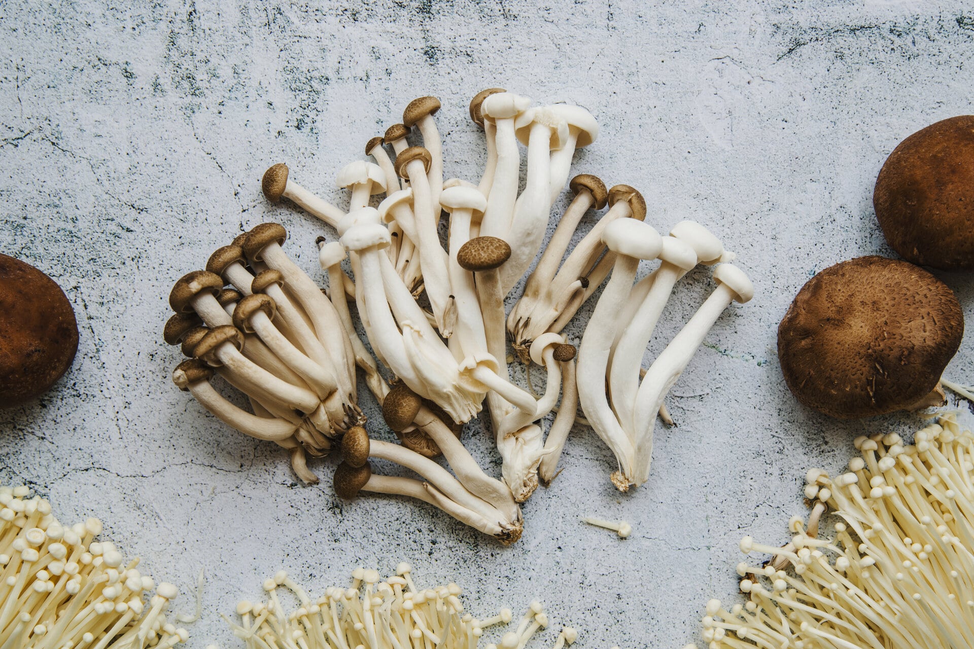 Various types of mushrooms neatly arranged on a light background.