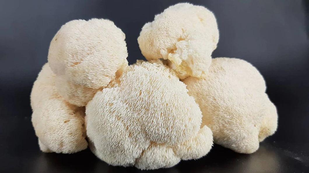 How Lion's Mane Mushroom Can Support Your Brain Health - WellNao