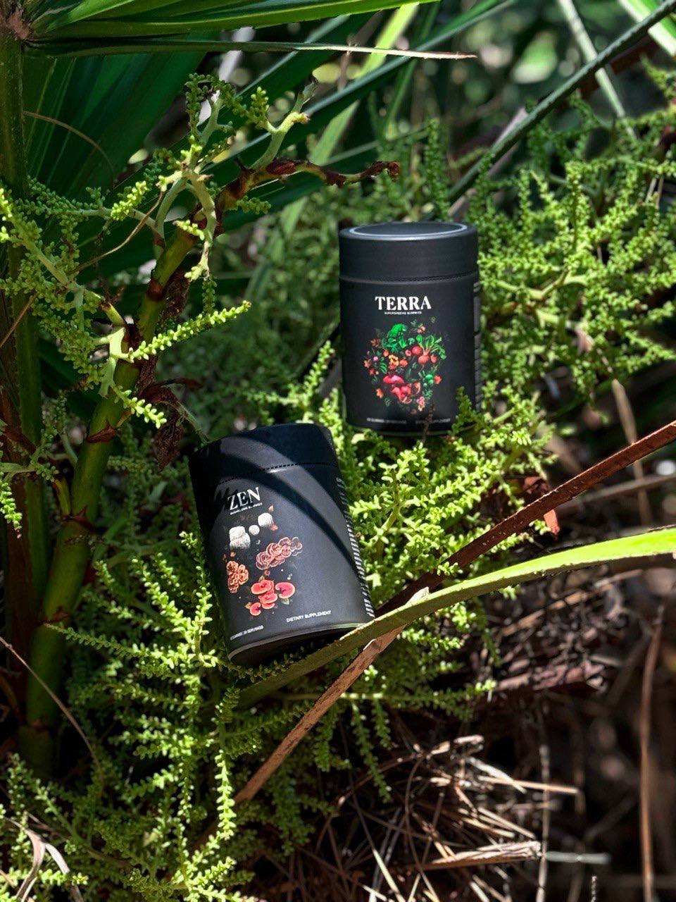 Level Up Your Life: Top 10 Supplements for Men – Unleash Your Inner Power with NAO's Natural Ingredients
