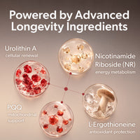 NAO Urolithin A Gummies for Healthy Aging, Cellular Energy & Mitochondrial Support